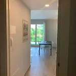 House & Pool *